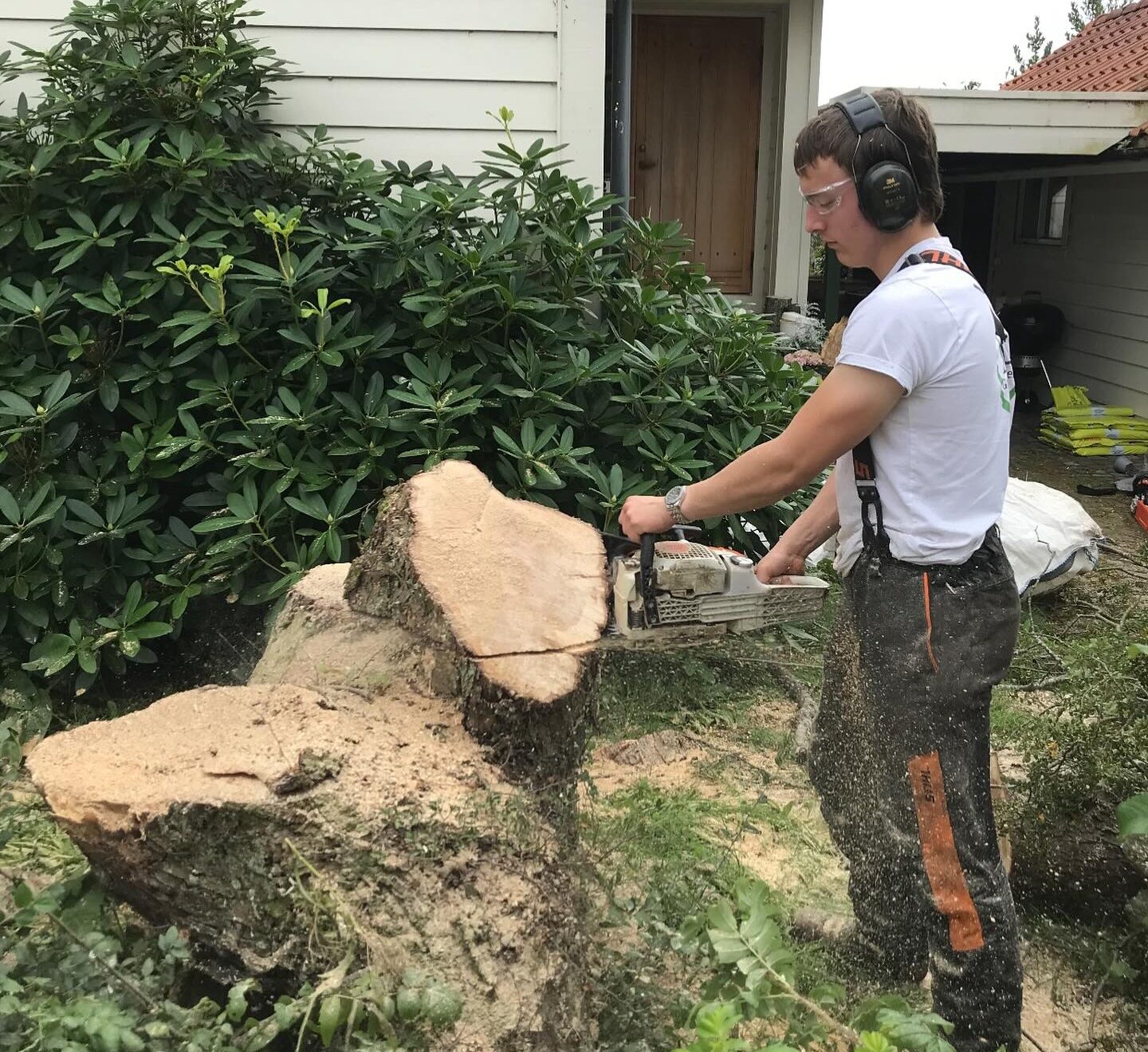 Trygg og sikker trefelling i Stavanger – erfarne fagfolk fra Galta Hageservice AS hjelper deg